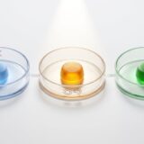 【2026年最新】CBN規制は6月1日から！厚労省の最新スケジュールと「次に備える」代替成分を徹底解説し