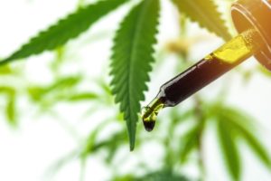 緑の植物をバックにしたCBDオイルのスポイト